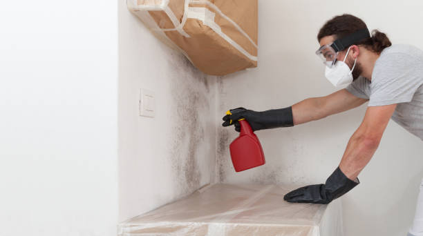 Professional Mold Remediation technician working in Hudson, MI