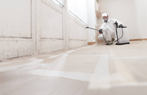 24/7 Emergency Mold Remediation experts in Hudson, MI