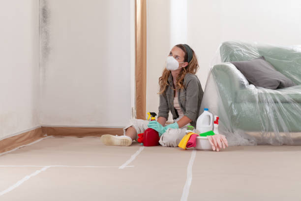 Reliable Mold Remediation contractor in Hudson, MI by 24 Hour Mold Removal